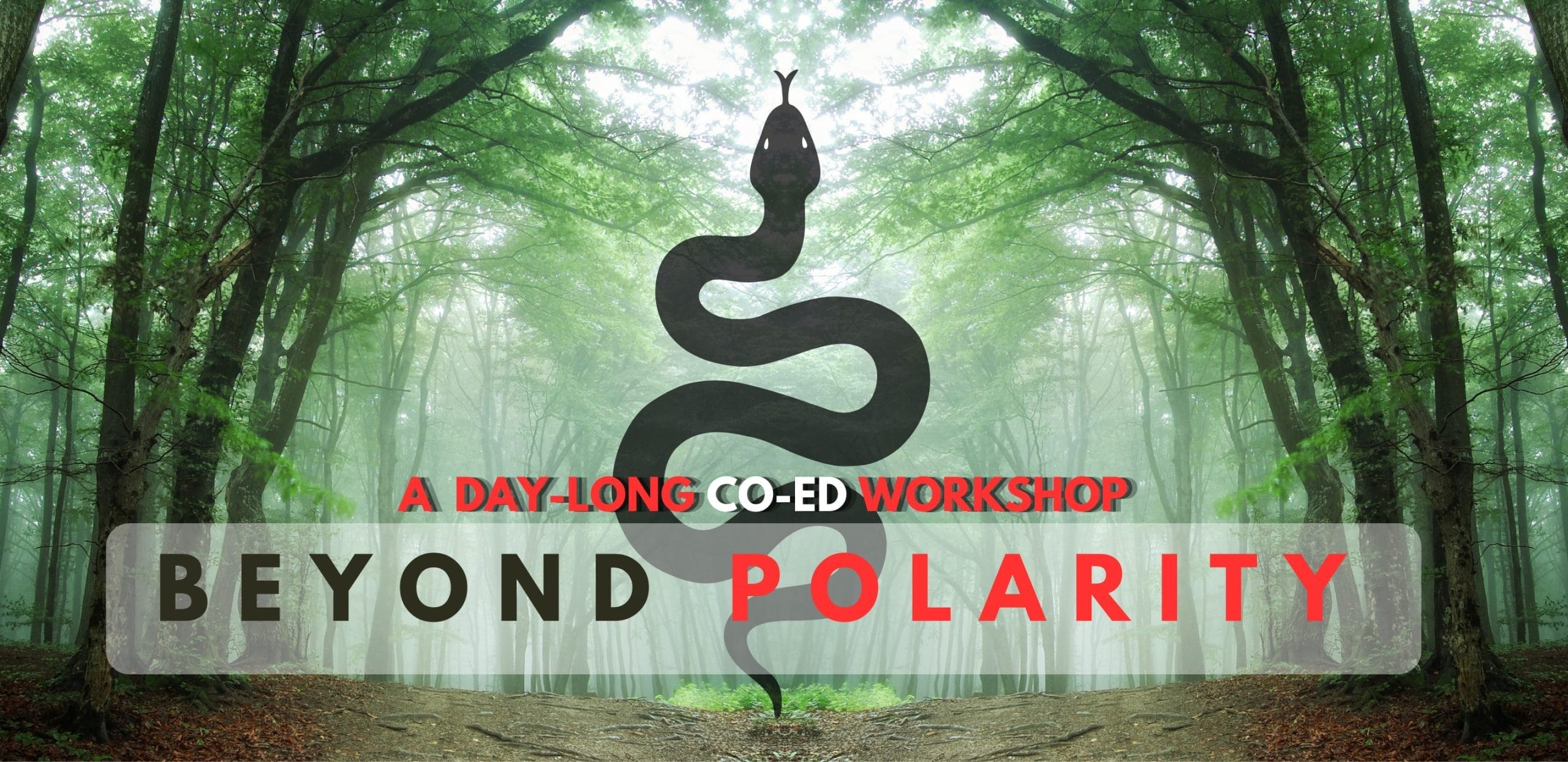 Beyond Polarity Co-Ed Workshop