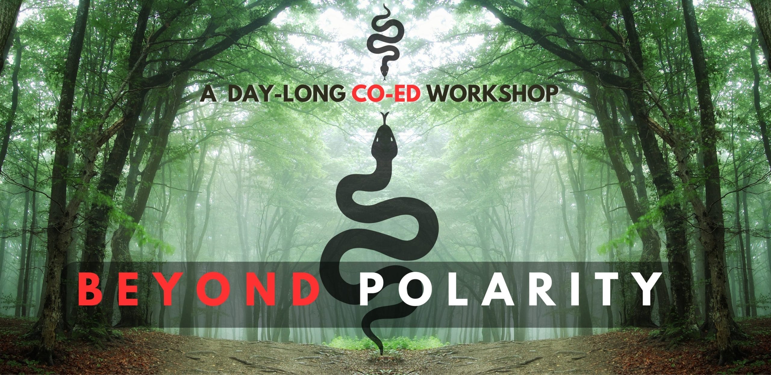 Beyond Polarity Co-ed workshop