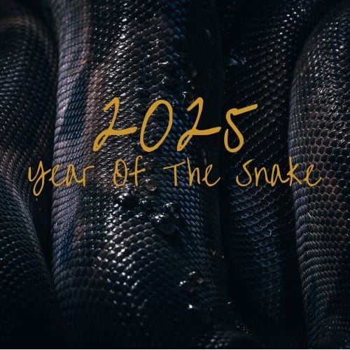 2025 Year of the Snake